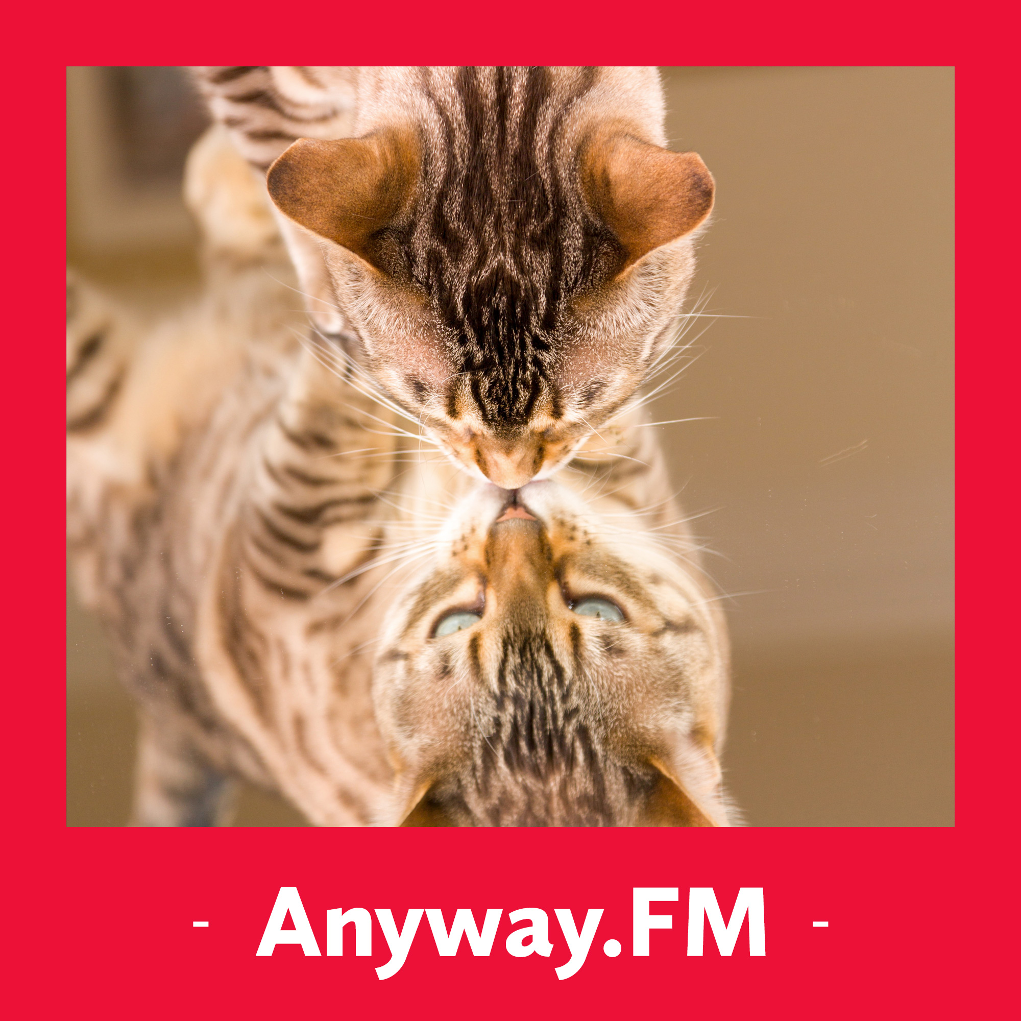 Anyway.FM 设计杂谈
